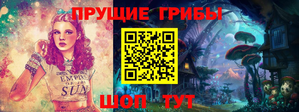 Ставрополь  Псилоцибиновые грибы ЛСД  Псилоцибиновые грибы GOLDEN TEACHER  Вход с VPN 